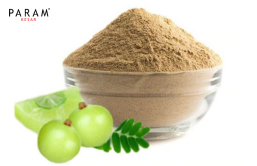 Amla Powder